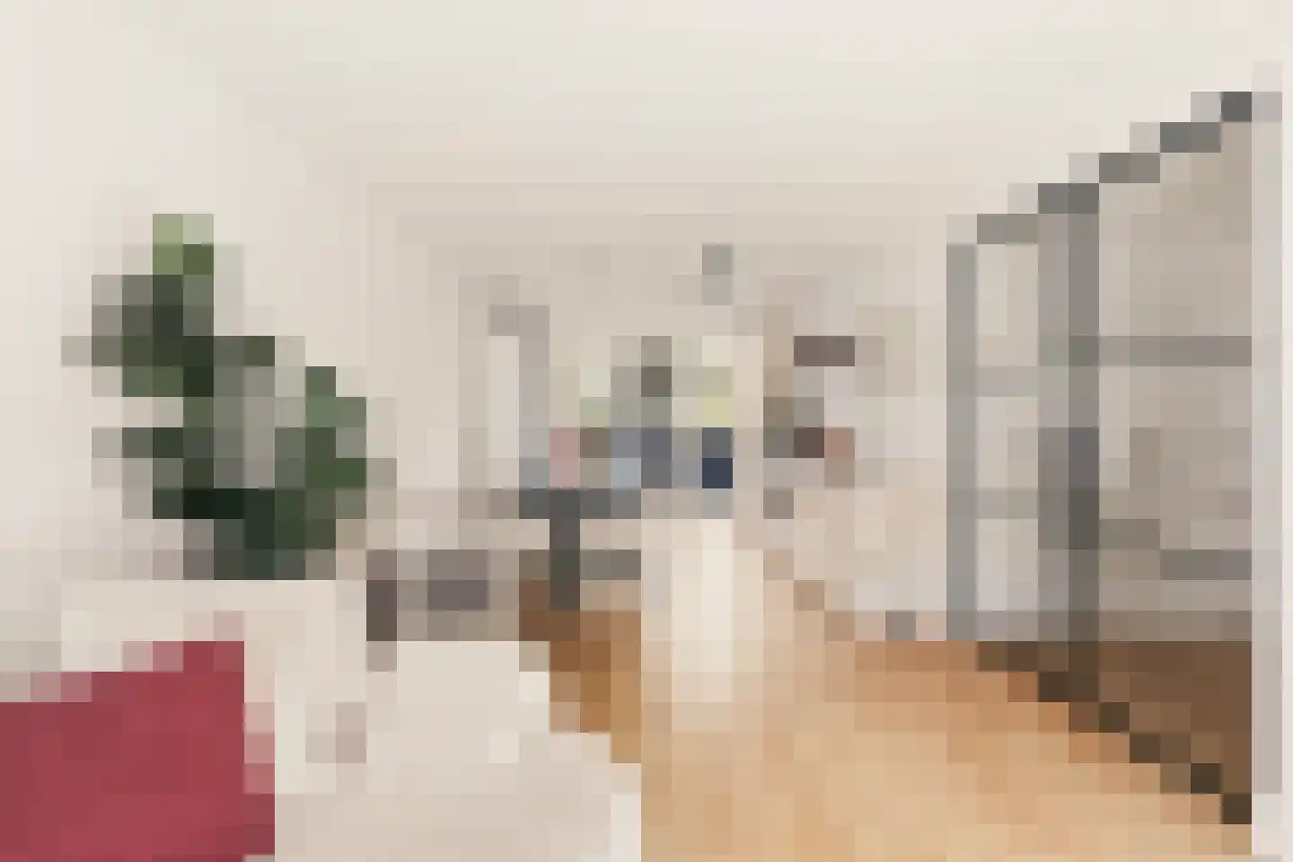 Schierstins 10 Amsterdam thumbnail 7