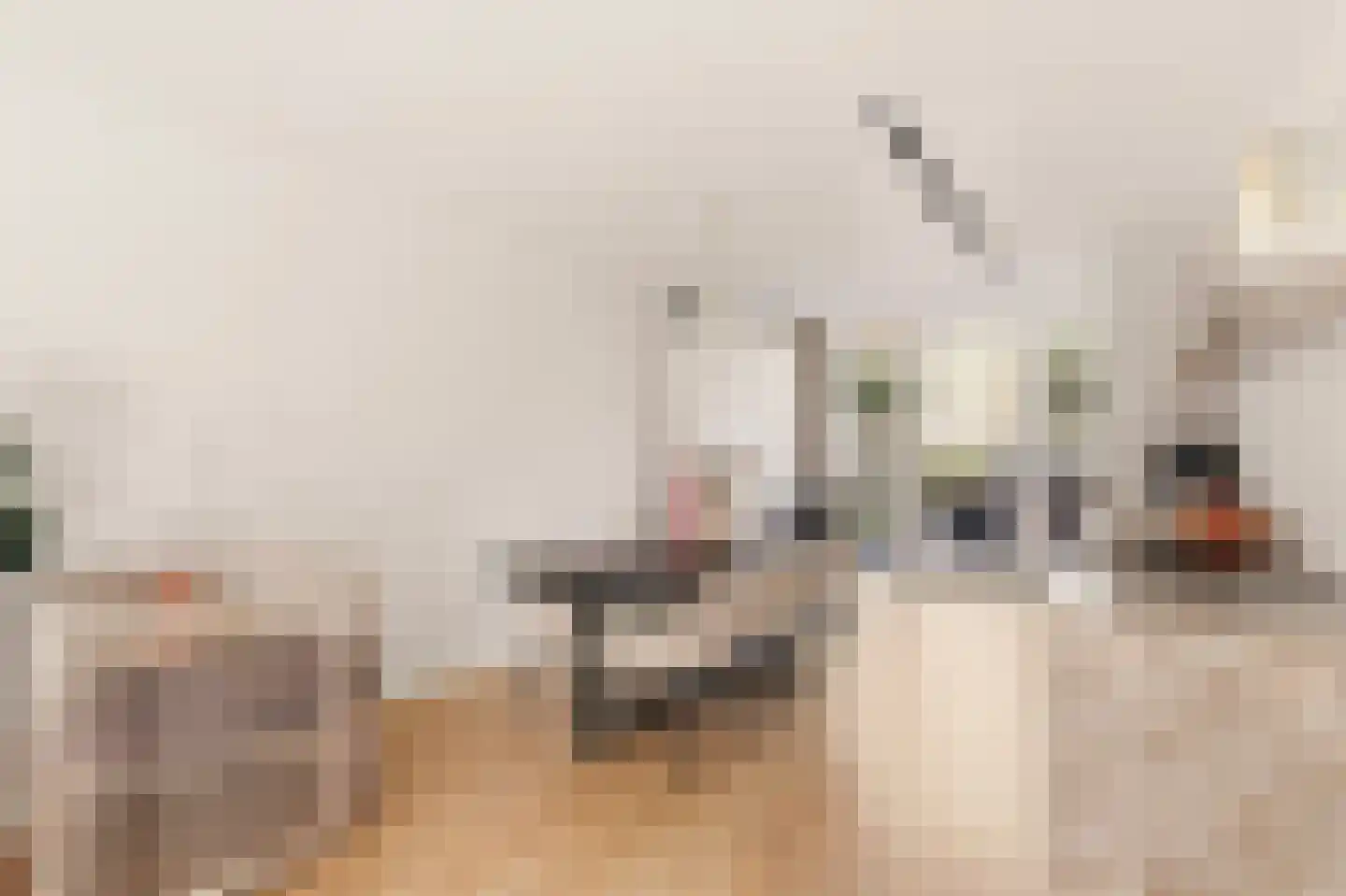 Schierstins 10 Amsterdam thumbnail 8