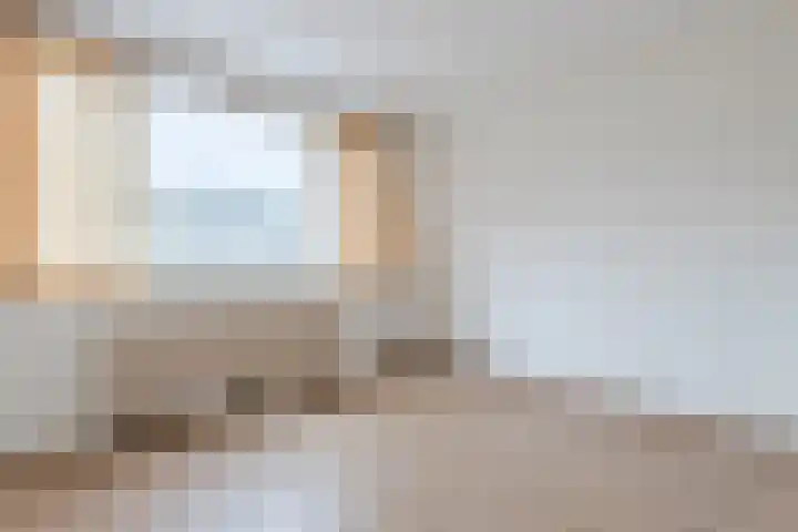 Schierstins 103 Amsterdam thumbnail 11