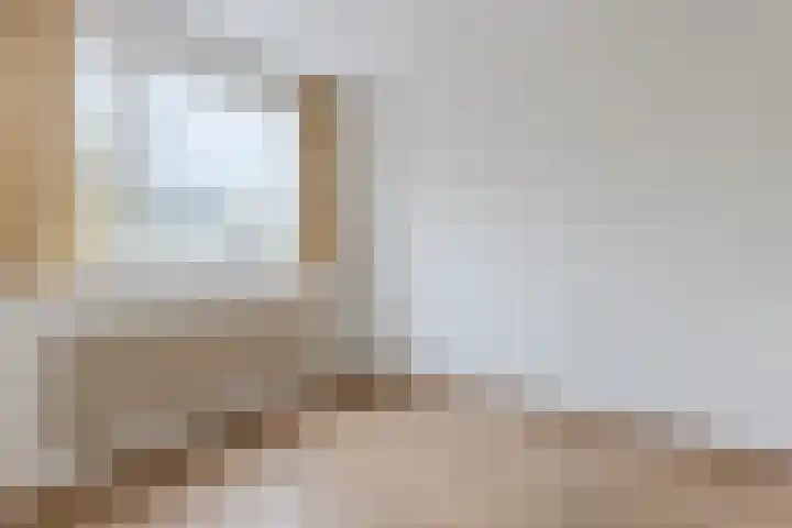 Schierstins 103 Amsterdam thumbnail 13