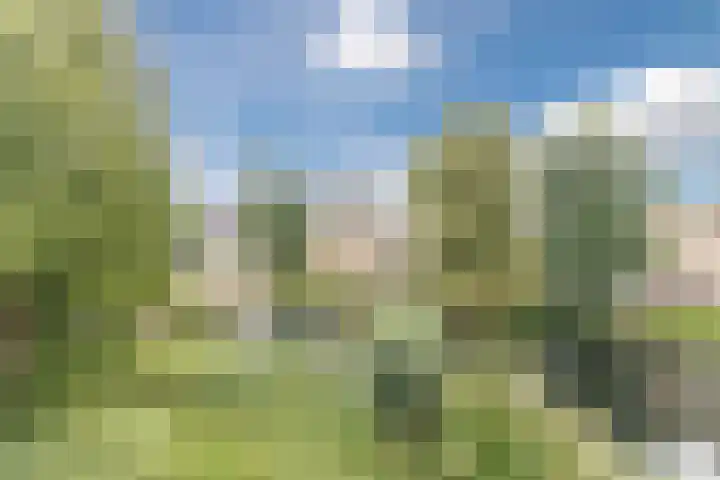 Schierstins 103 Amsterdam thumbnail 23