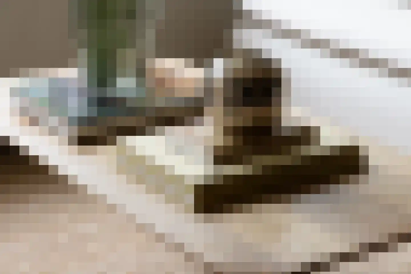 Schierstins 105 Amsterdam thumbnail 11