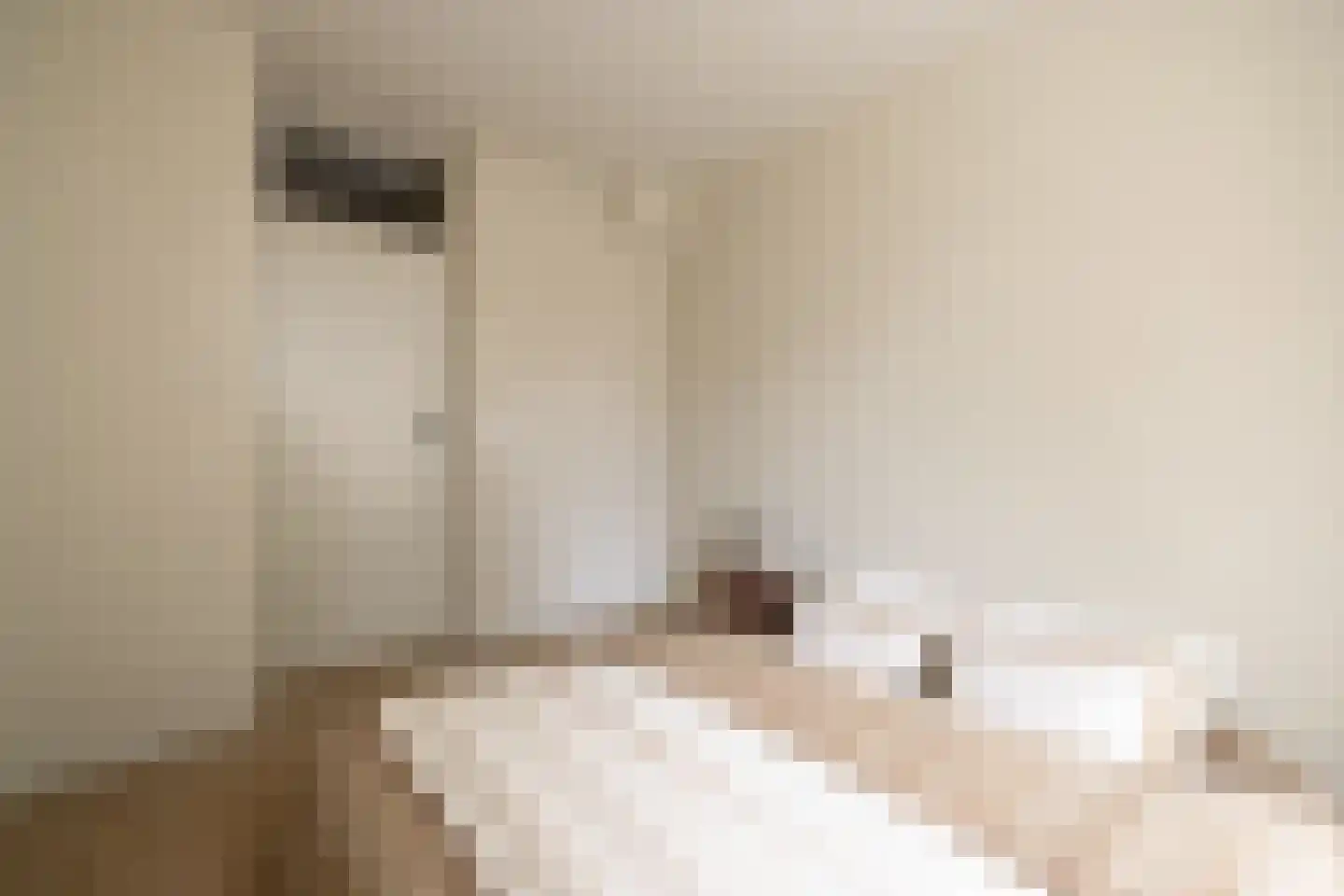 Schierstins 105 Amsterdam thumbnail 34
