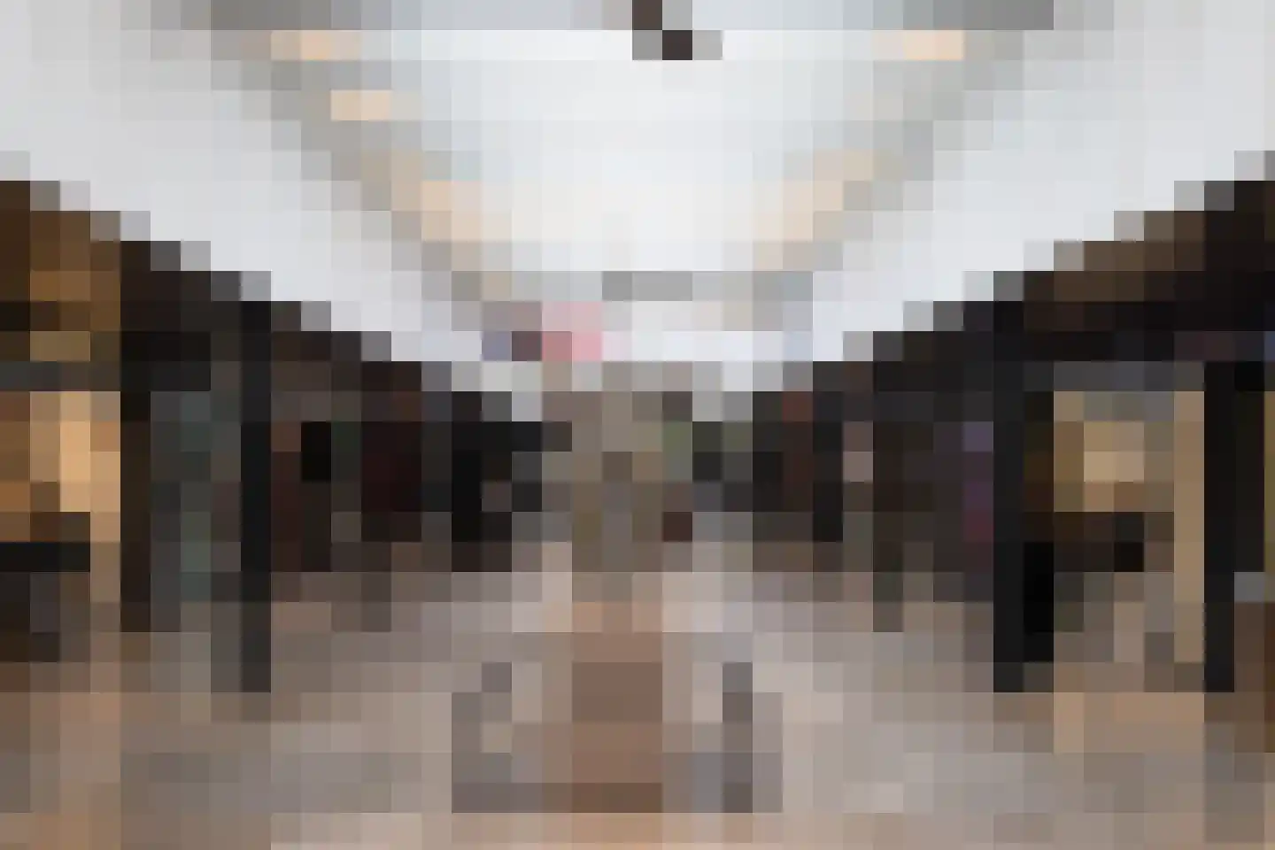 Schierstins 105 Amsterdam thumbnail 39