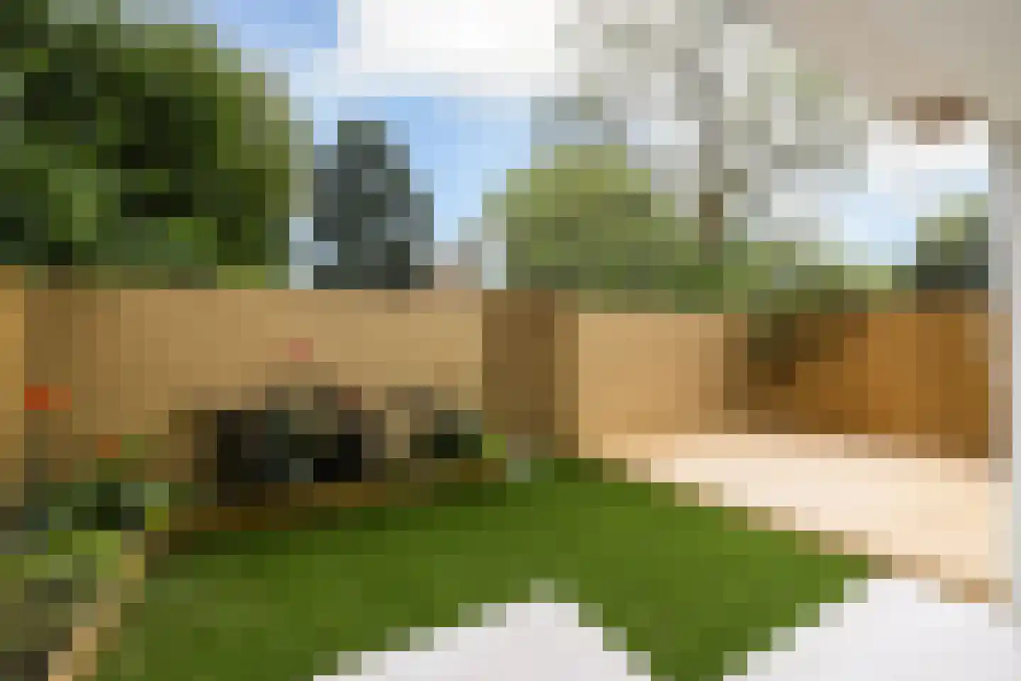 Schierstins 105 Amsterdam thumbnail 4