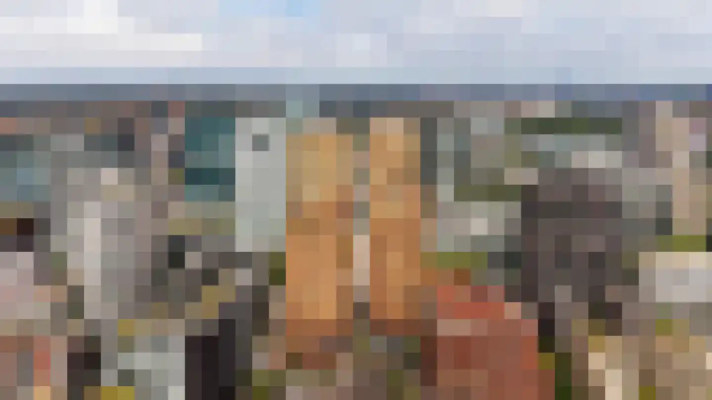Schierstins 105 Amsterdam thumbnail 41