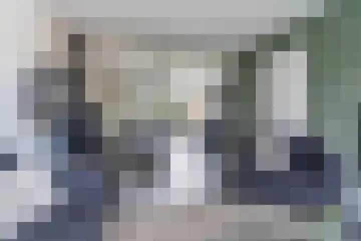Schierstins 12 Sneek thumbnail 10