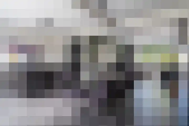 Schierstins 12 Sneek thumbnail 12