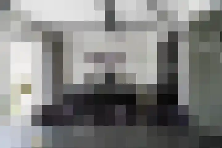 Schierstins 12 Sneek thumbnail 13