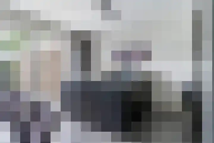 Schierstins 12 Sneek thumbnail 14