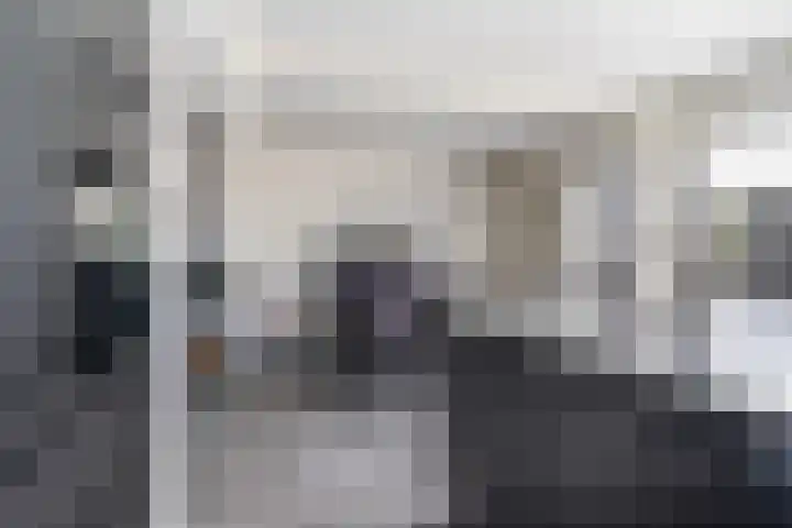 Schierstins 12 Sneek thumbnail 15
