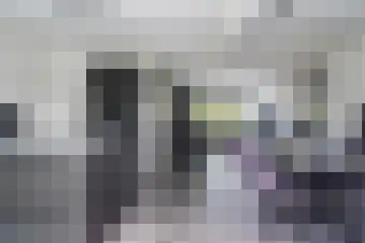 Schierstins 12 Sneek thumbnail 16