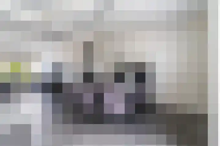 Schierstins 12 Sneek thumbnail 17