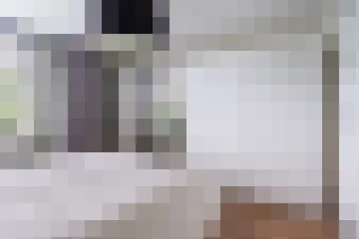 Schierstins 12 Sneek thumbnail 23