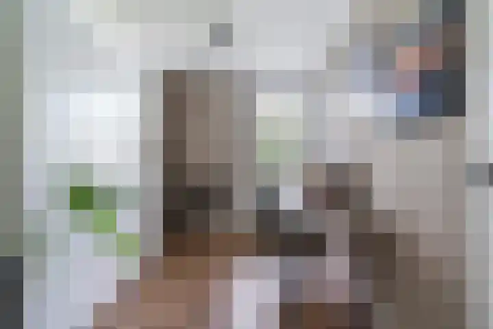 Schierstins 12 Sneek thumbnail 27
