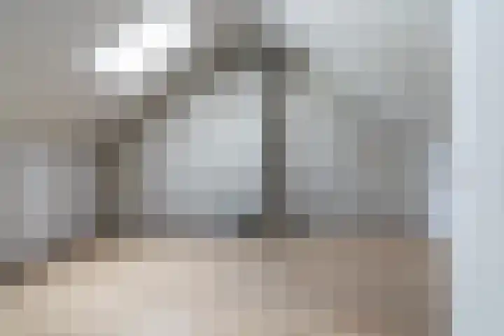 Schierstins 12 Sneek thumbnail 31