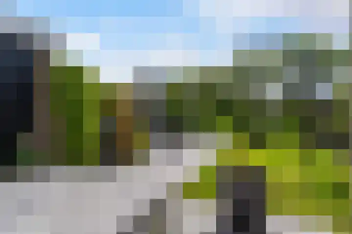 Schierstins 12 Sneek thumbnail 33