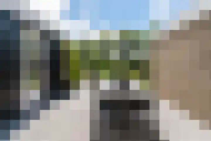 Schierstins 12 Sneek thumbnail 34