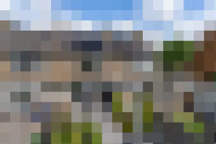 Schierstins 12 Sneek thumbnail 36
