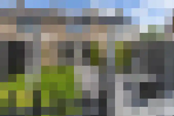 Schierstins 12 Sneek thumbnail 37