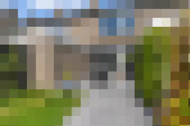 Schierstins 12 Sneek thumbnail 38