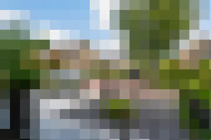 Schierstins 12 Sneek thumbnail 39