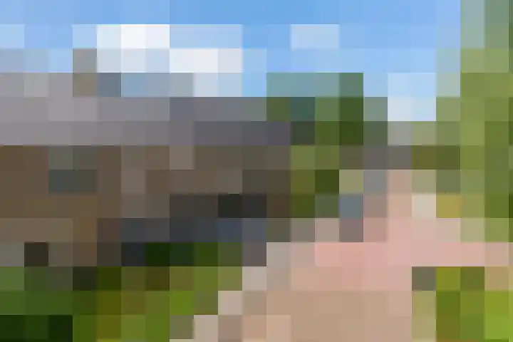 Schierstins 12 Sneek thumbnail 40