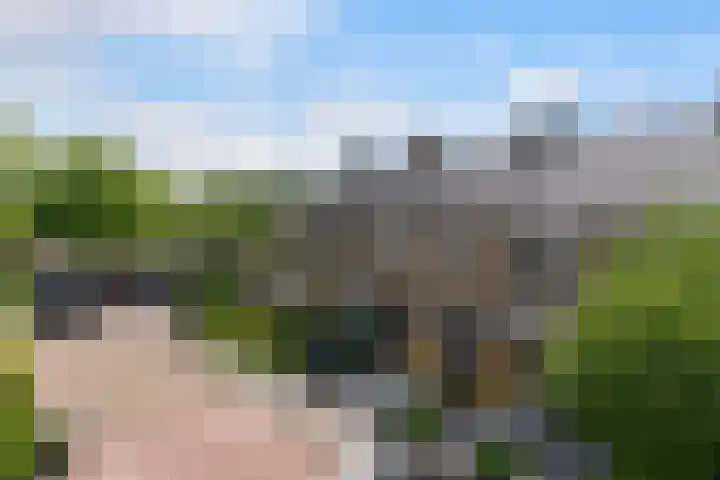 Schierstins 12 Sneek thumbnail 41