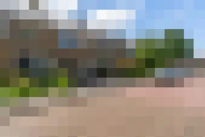 Schierstins 12 Sneek thumbnail 43