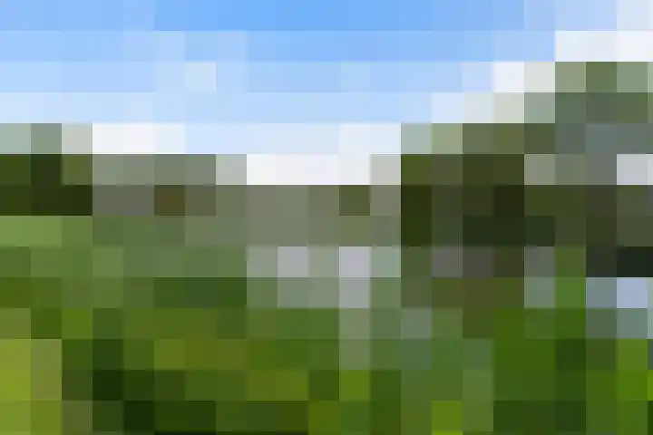 Schierstins 12 Sneek thumbnail 44