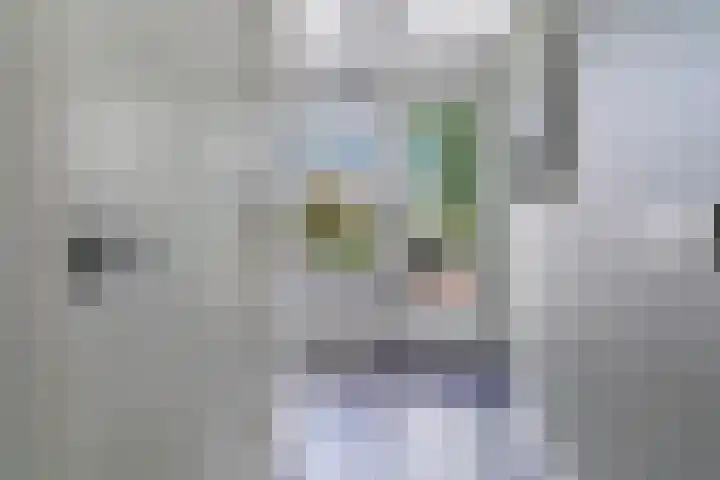 Schierstins 12 Sneek thumbnail 5