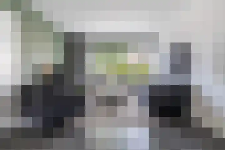 Schierstins 12 Sneek thumbnail 7