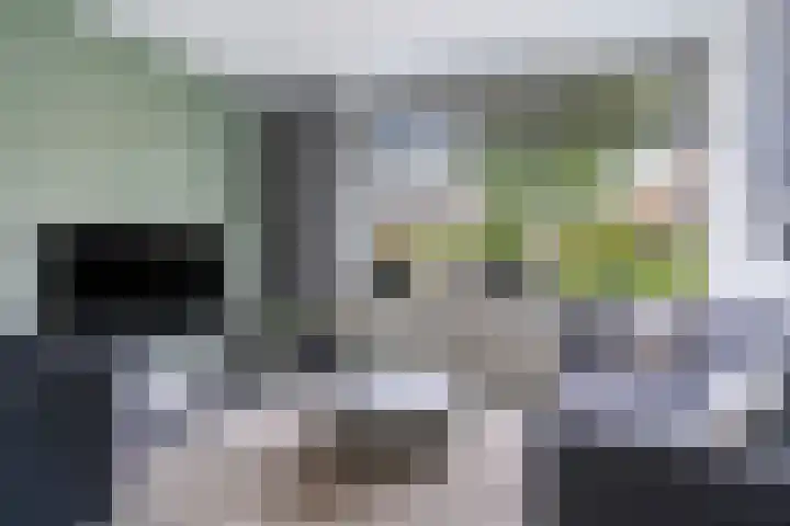 Schierstins 12 Sneek thumbnail 8