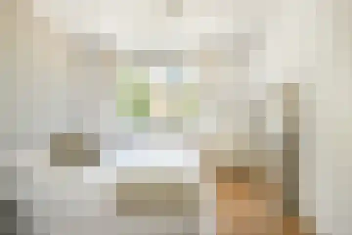 Schierstins 125 Amsterdam thumbnail 10