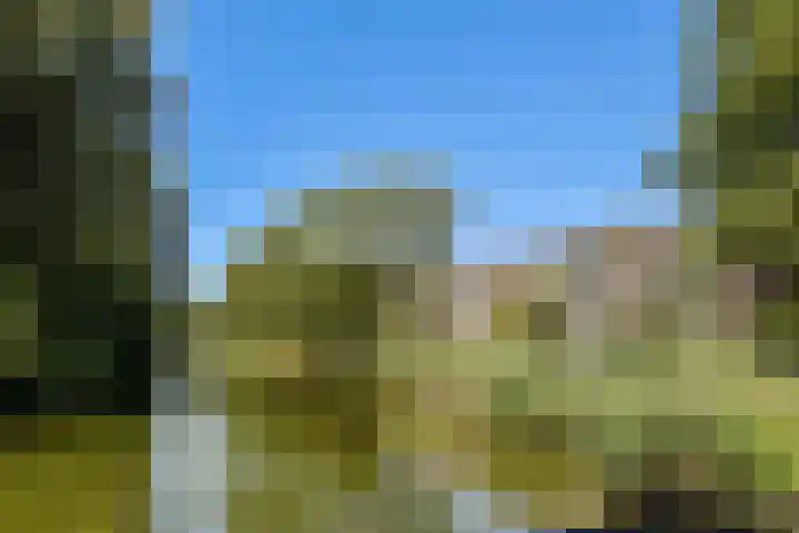 Schierstins 125 Amsterdam thumbnail 17