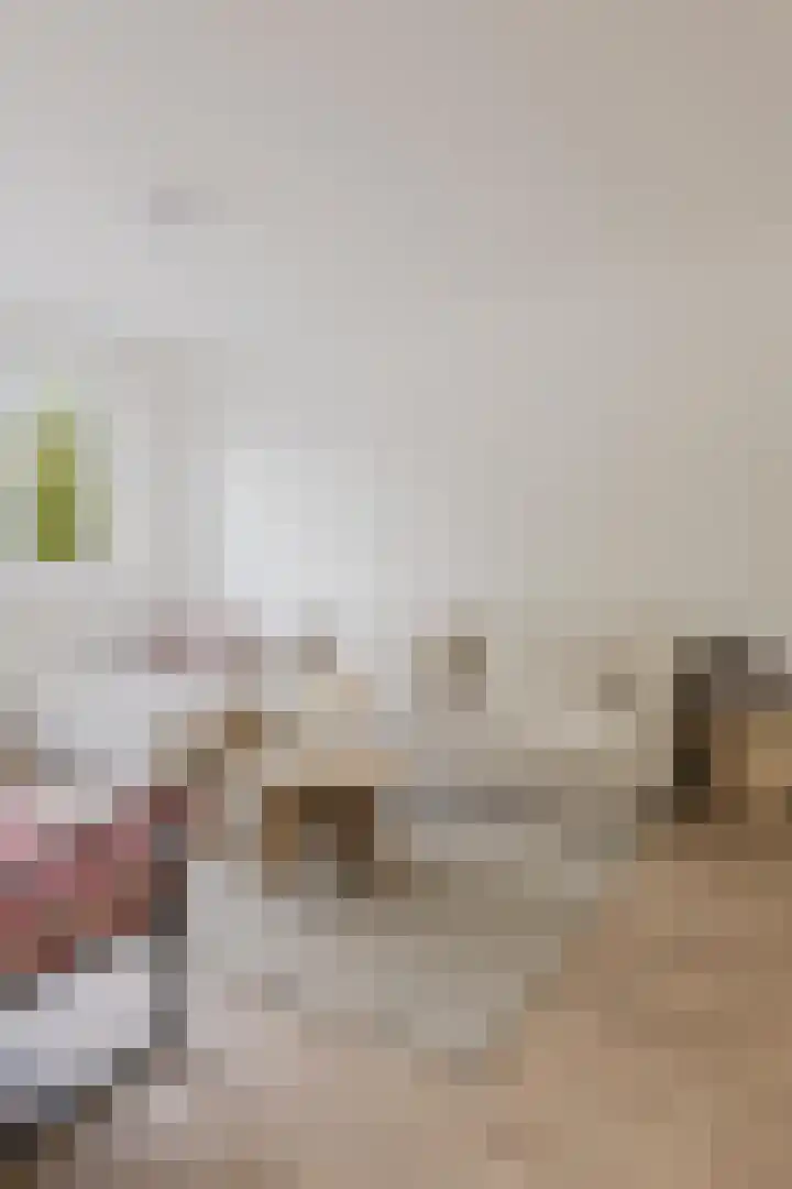Schierstins 131 Amsterdam thumbnail 14