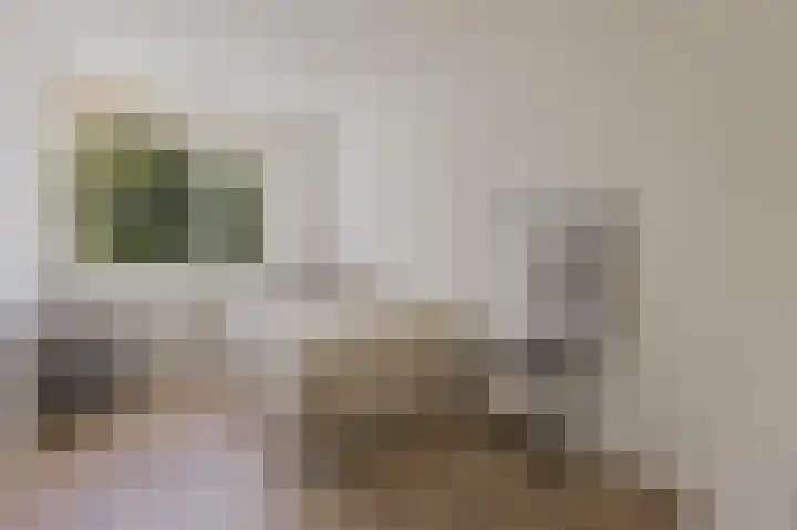 Schierstins 131 Amsterdam thumbnail 22