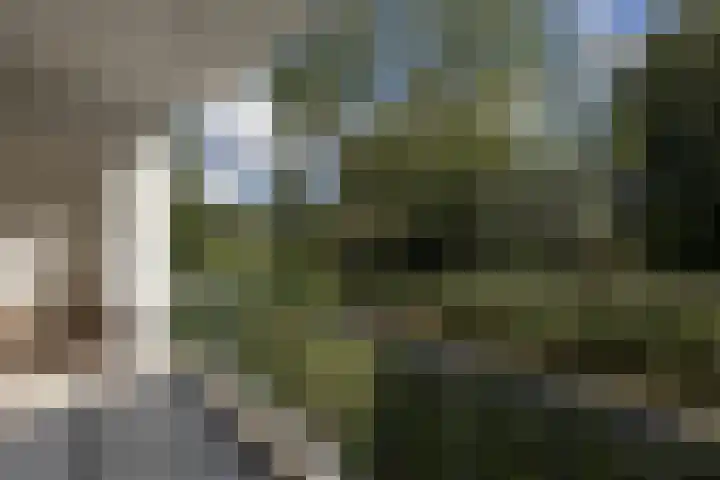Schierstins 131 Amsterdam thumbnail 26