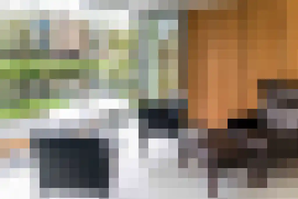 Schierstins 147 Amsterdam thumbnail 5