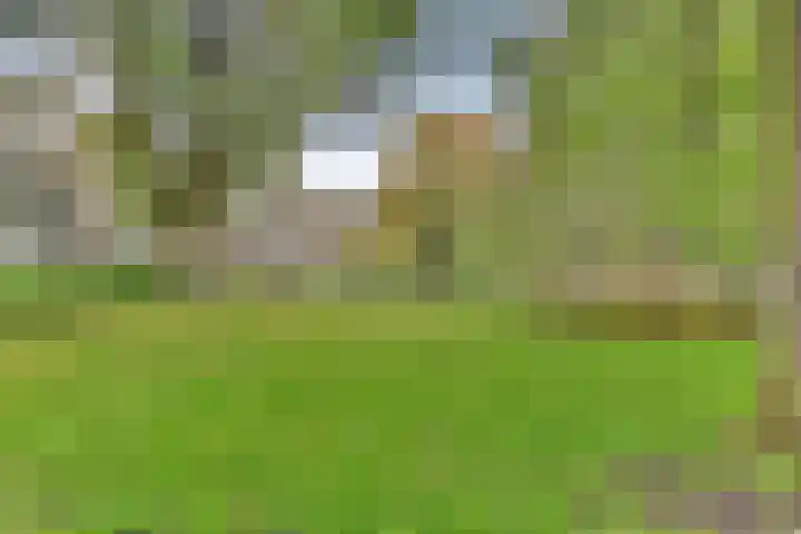 Schierstins 153 Amsterdam thumbnail 16