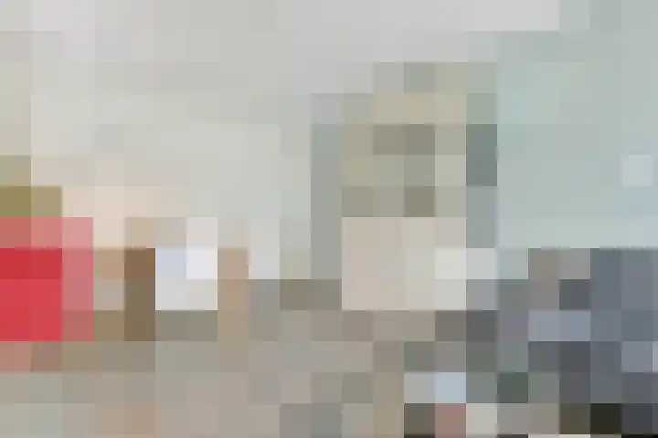 Schierstins 153 Amsterdam thumbnail 5