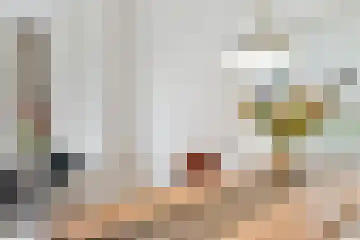 Schierstins 153 Amsterdam thumbnail 7