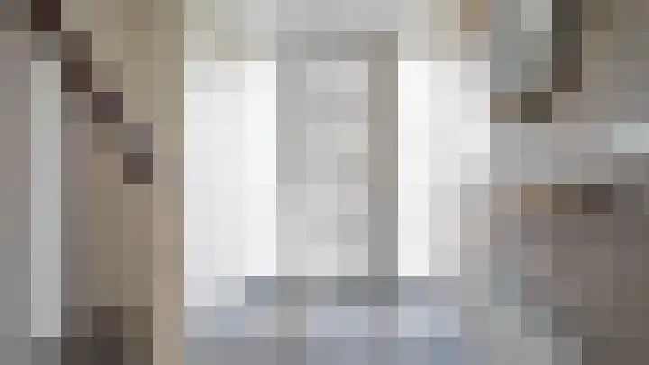 Schierstins 16 Almelo thumbnail 10