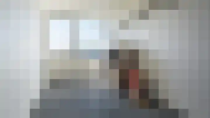 Schierstins 16 Almelo thumbnail 18