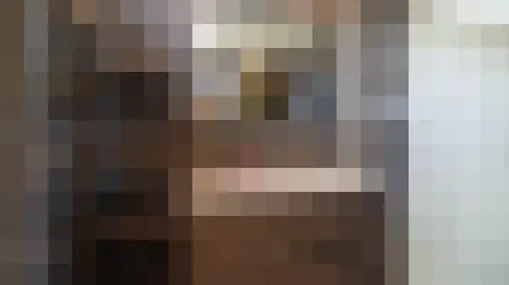Schierstins 16 Almelo thumbnail 21