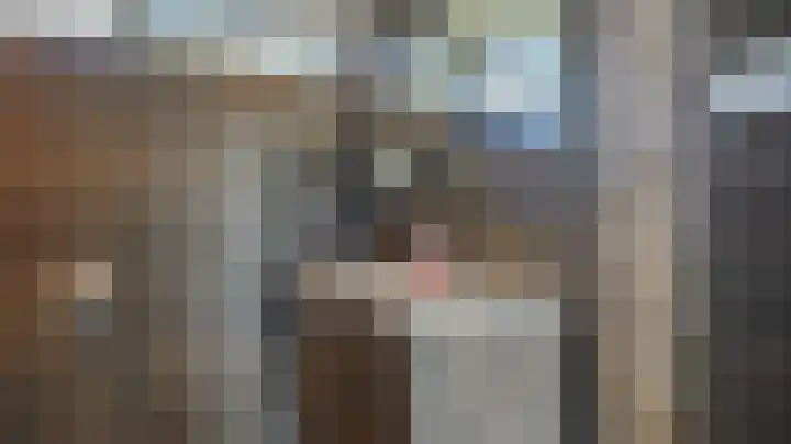 Schierstins 16 Almelo thumbnail 22