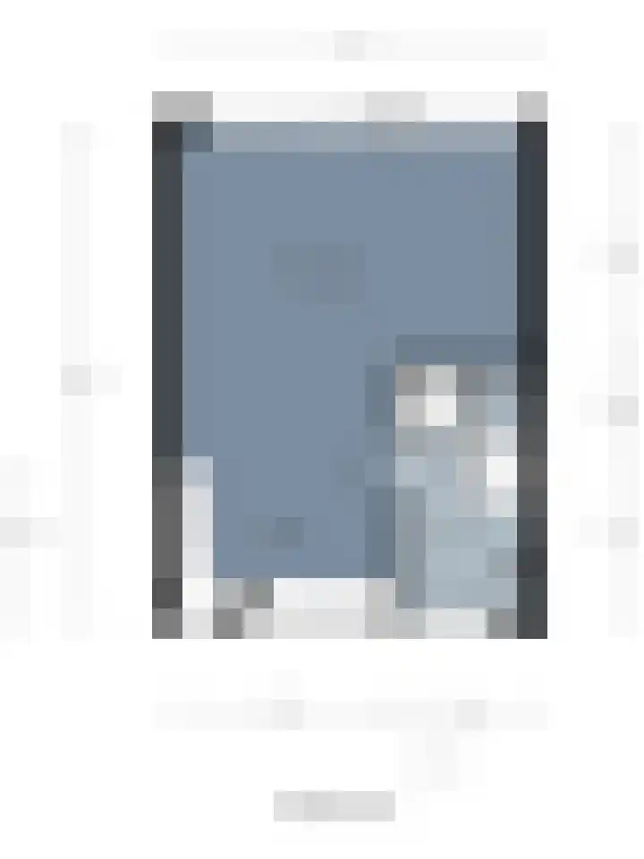 Schierstins 16 Almelo thumbnail 31