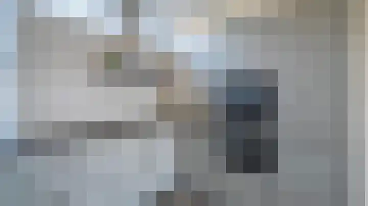 Schierstins 16 Almelo thumbnail 5
