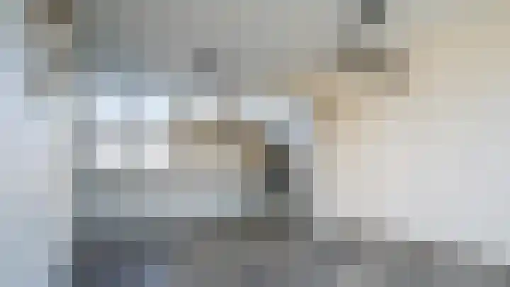 Schierstins 16 Almelo thumbnail 8