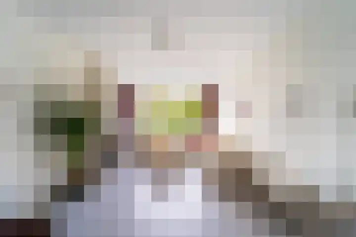 Schierstins 16 Amsterdam thumbnail 8
